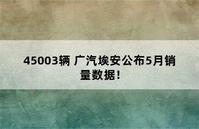 45003辆 广汽埃安公布5月销量数据！